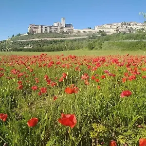 Casa vacanze Casetta Delle Rose, Assisi