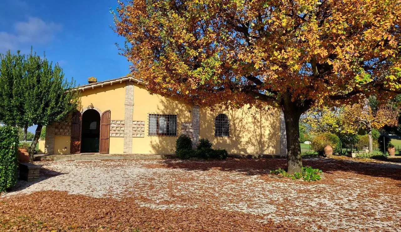 Le Case Dell'Olmo Assisi