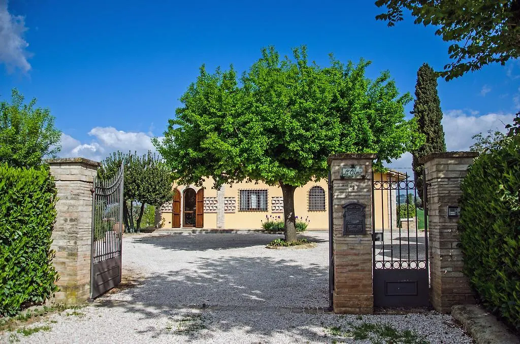 Le Case Dell'Olmo Assisi